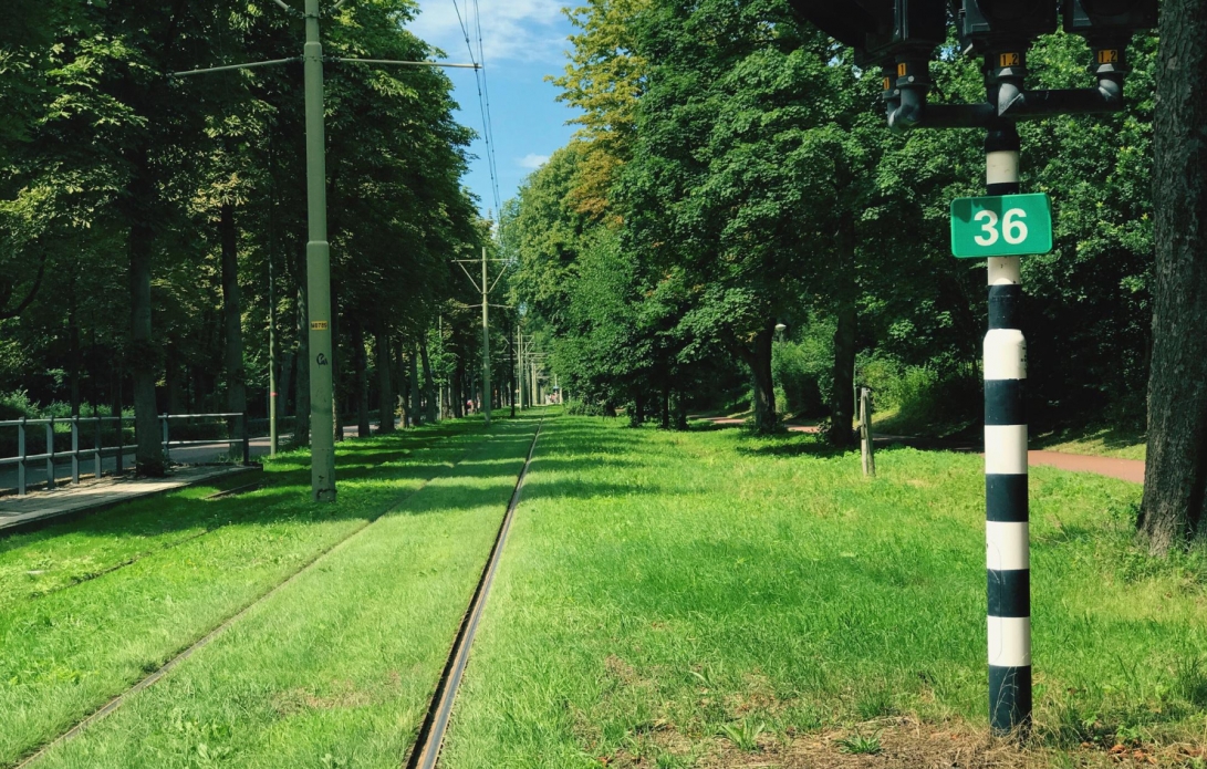 23. edycja ogólnopolskiego konkursu „Poznajemy Parki Krajobrazowe Polski” z udziałem uczniów ze Szkoły Podstawowej w Pokrzydowie