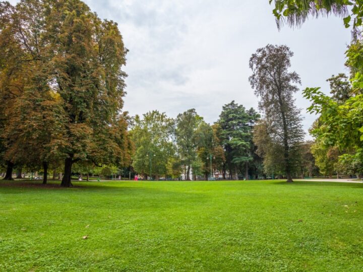 Park Krajobrazowy w Brodnicy: Raj dla miłośników przyrody z bogatą ofertą edukacyjną