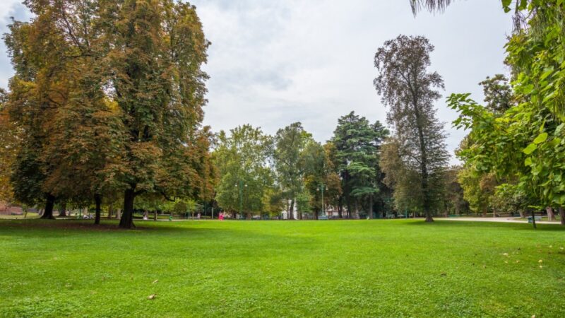Park Krajobrazowy w Brodnicy: Raj dla miłośników przyrody z bogatą ofertą edukacyjną