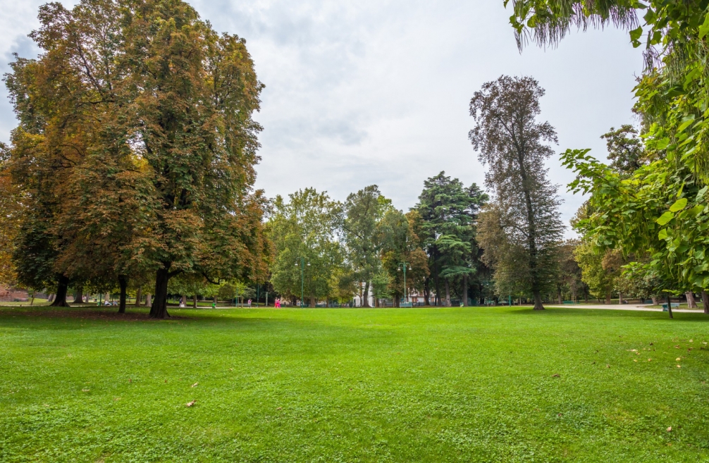 Park Krajobrazowy w Brodnicy: Raj dla miłośników przyrody z bogatą ofertą edukacyjną