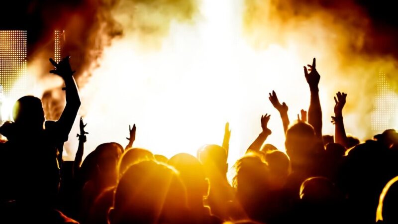 Finał I Festiwalu Muzyki Organowej – Niezapomniany Koncert Maryjny